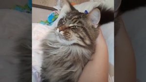 нечеловеческая любовь.