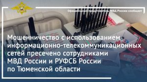 Мошенничество с использованием информационно-телекоммуникационных сетей пресечено полицией