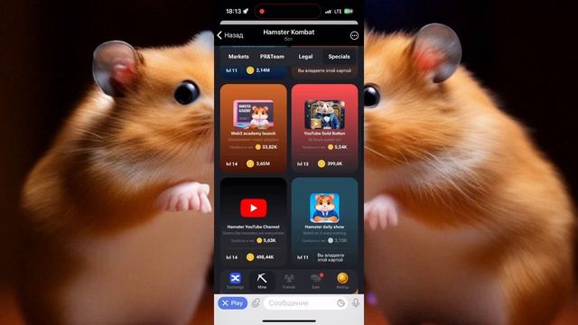 Хамстер Комбат комбо карты 6 июня! Combo Hamster Kombat