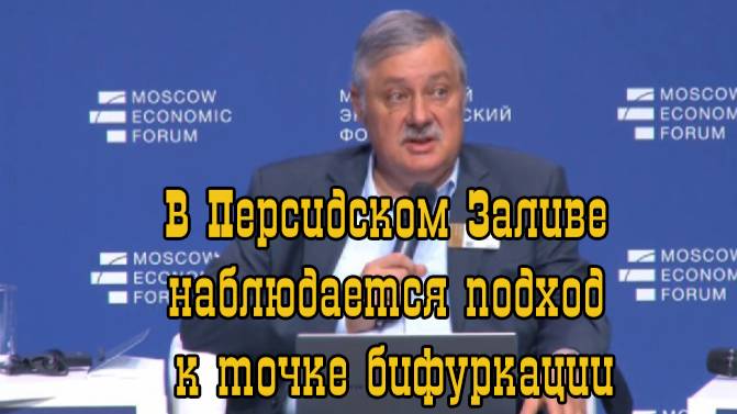 МЭФ 2025. По Персидскому Заливу наблюдается подход к точке бифуркации.Дмитрий Евстафьев