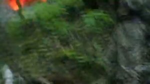 охота на монстров 3