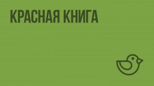 Красная книга. Видеоурок по окружающему миру 2 класс