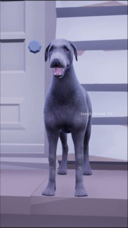 Learn About Dog| Learn Animal Sounds and Life in Hindi #shorts