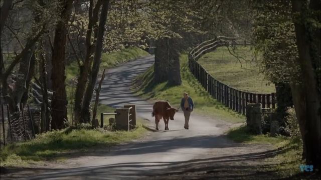 No se Metan con mi Vaca Subtitulado Español смотреть онлайн