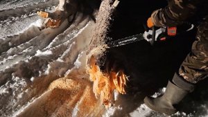 Новинка Интерскола 2024. Аккумуляторная пила ПЦА-16/36В