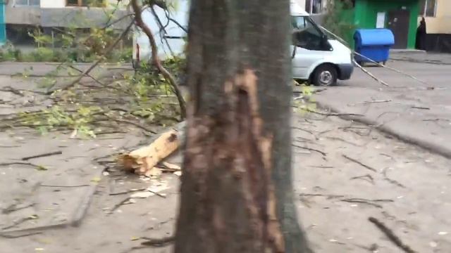 Сильный ветер в Одессе смотреть онлайн