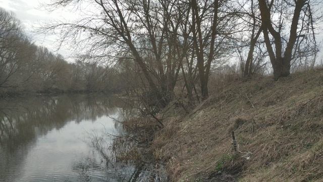 Весна на реке Оке