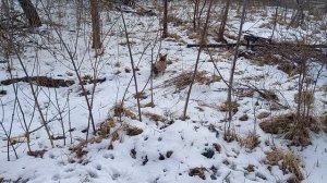 Благовещенское небо этого 25 года