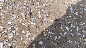 пляжи Анапы 07.04.25 Технополис Эра