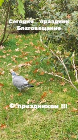 С праздником  и хороших всем вестей