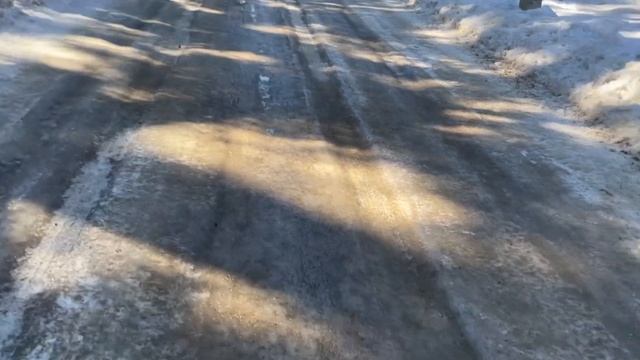 Пошёл встречать весну🌿 #мопсКузьма #мопс #puppy #dog #лес #пробежка #прогулка #хрюша смотреть онлайн