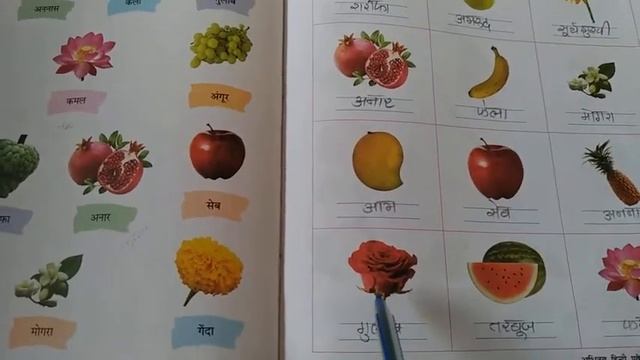 20/11/2020 Std;3 Sub; Hindi ( Gujrati medium) смотреть онлайн