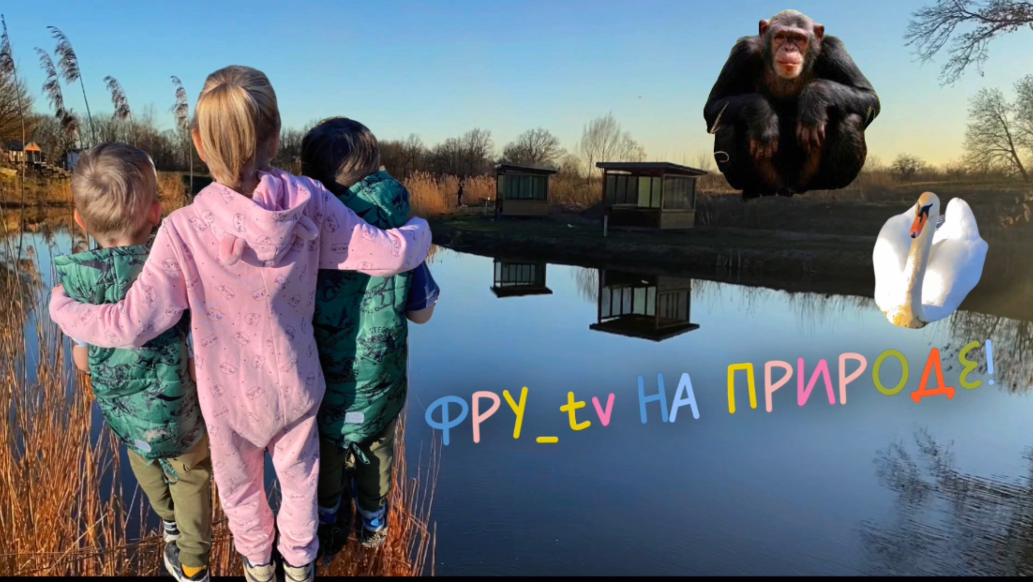 Фрутики играют на природе!
