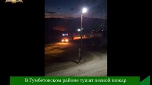 В Гумбетовском районе тушат лесной пожар