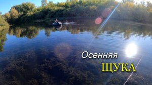 Осенняя рыбалка на хищника. Ловили щуку на спиннинг.