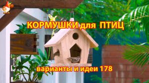 Кормушка для птиц своими руками как сделать пошагово  (178) 🪚🪛🔨 Идеи для дачи и сада❣️