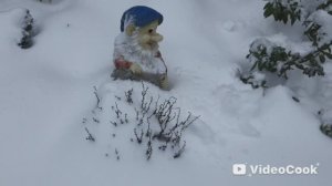17. 😱 Засыпало, так засыпало в АПРЕЛЕ!!!Зима вернулась в Подмосковье.