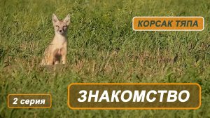 Фильм "Корсак Тяпа". 2 серия. Знакомство