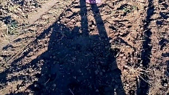 Сентябрь 2020 Ред Скарлетт смотреть онлайн