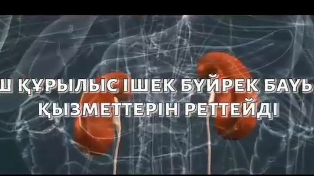 Global Trend нано бальзам туралы акпарат 7702 7100 600