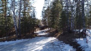 Весенняя прогулка часть 2