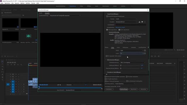 EURE VIDEOS SCHNEIDEN! | Adobe Premiere Pro CC 2017 | [3/3] | Alexander Helfenstein смотреть онлайн