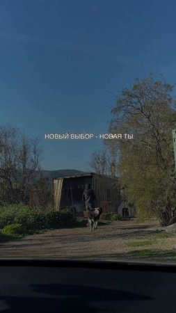 🌱 НОВЫЙ ВЫБОР -НОВАЯ ТЫ