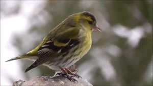 Лечебная музыка для сосудов, Музыка для глубокого сна, и расслабления для души