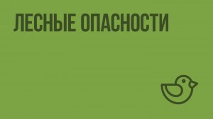 Лесные опасности. Видеоурок по окружающему миру 2  класс