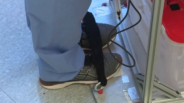 UofL researchers testing freeze-dried blood in Zero-G смотреть онлайн