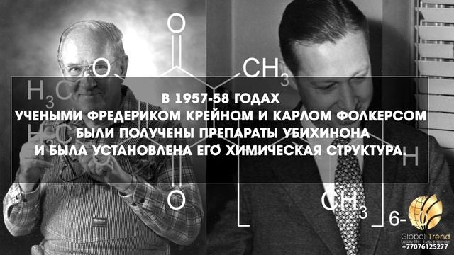 Кто, есть - Человек? Как работает его ОРГАНизм. Почему КОЭНЗИМ Q10 и что это такое?