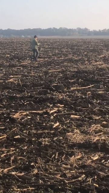 Технология нового посева 😂 или как сеять если для вас дорогое дт смотреть онлайн