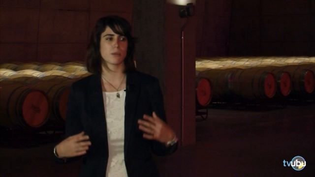 Ven y Vino -Cap.1- Arquitectura y Vino - Bodegas Portia