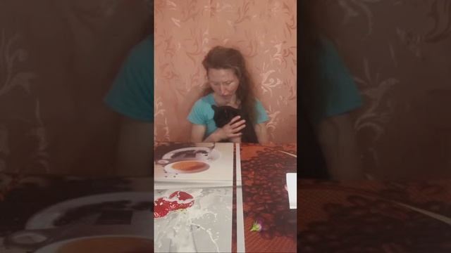 Ludmar! Почему кот переживает? смотреть онлайн