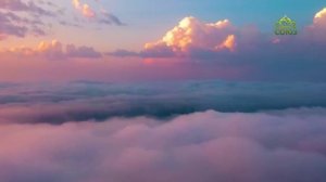 Стихи над миром. Стихотворения Зинаиды Миркиной