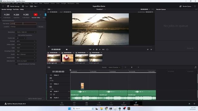 Davinci Resolve Render Notifications / SwitchNotify / Sound & Remote Monitoring смотреть онлайн