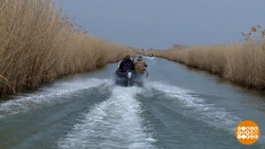 Браконьерам тут не место! Доброе утро. Фрагмент выпуска от 07.04.2025