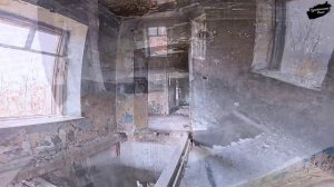 Прогулка по лесу в районе Тракторного завода