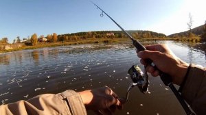 Взял первое место на фестивале UL-Трофей 2017 огромной щукой. Река Исеть в Ключах подарила трофей