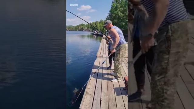 10 января 2024 г. смотреть онлайн