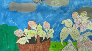 Ягодки вкусняшки