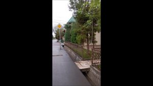 Путешествия. Улицы. Ташкент