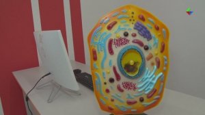 МИФИ – перспективная ступень медообразования