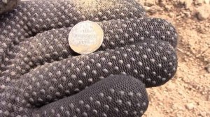 За монетами в поля.