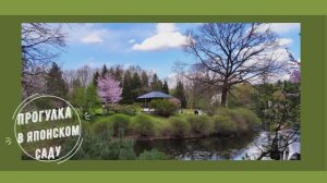 Прогулка в японском саду