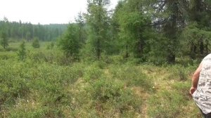 Я как то однажды приехал сюда