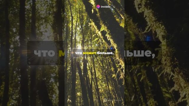 Царь Озия: Истрия гордости и падения
