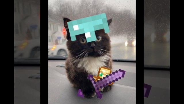чмоня