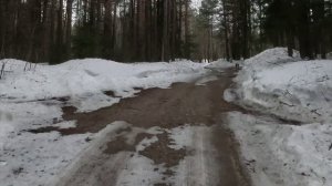 Вот Джаз к нам идет