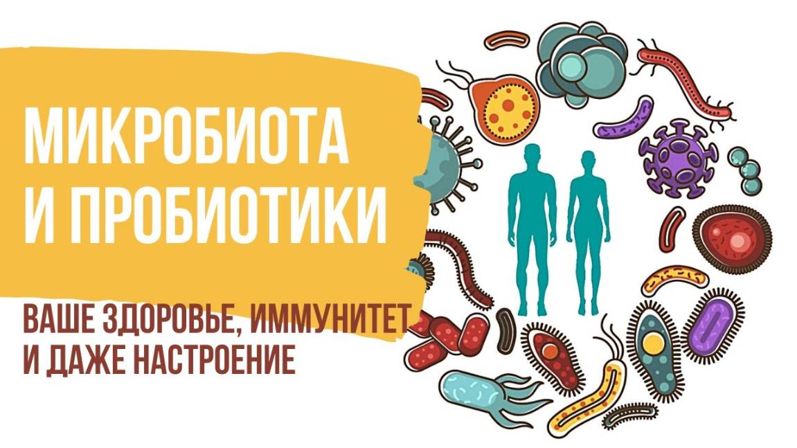 Микробиота кишечника человека. Как микробиота влияет на здоровье и иммунитет. Пробиотики